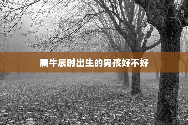 属牛辰时出生的男孩好不好