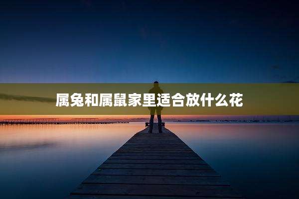 属兔和属鼠家里适合放什么花