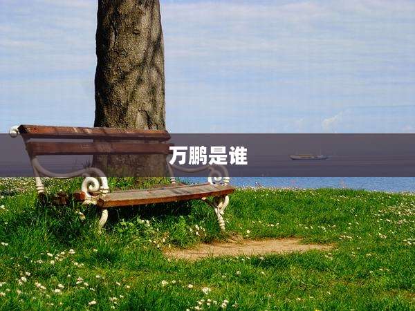 万鹏是谁