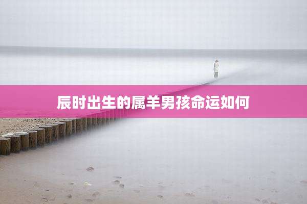 辰时出生的属羊男孩命运如何