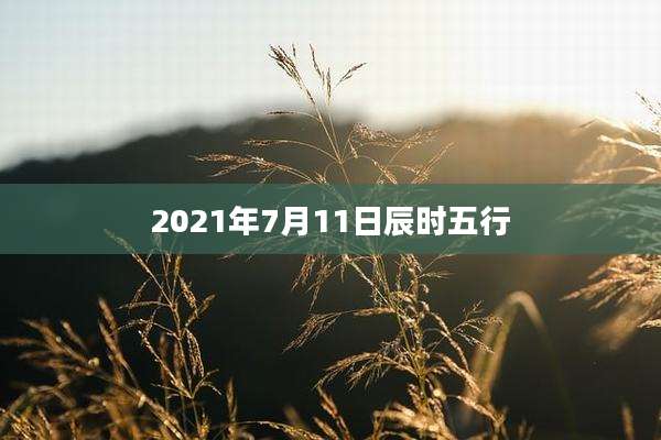2021年7月11日辰时五行