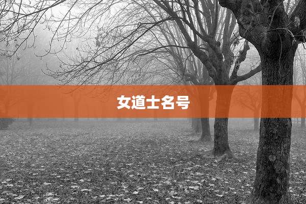 女道士名号