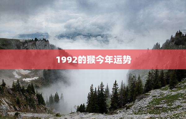 1992的猴今年运势