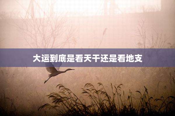 大运到底是看天干还是看地支