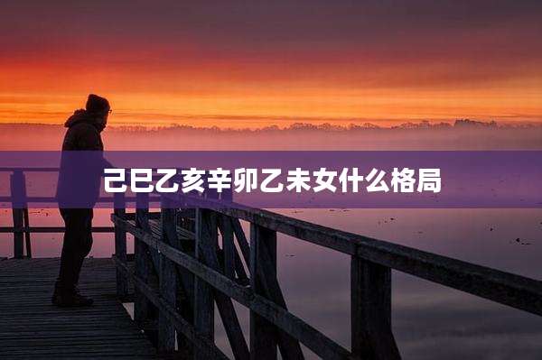 己巳乙亥辛卯乙未女什么格局