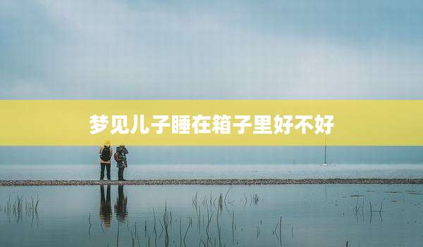 梦见儿子睡在箱子里好不好