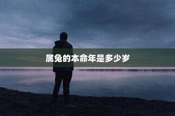 属兔的本命年是多少岁