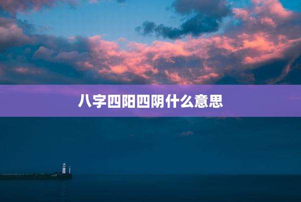 八字四阳四阴什么意思