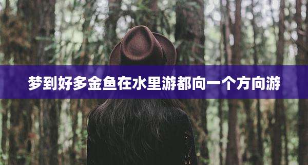 梦到好多金鱼在水里游都向一个方向游