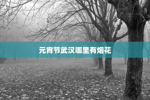 元宵节武汉哪里有烟花