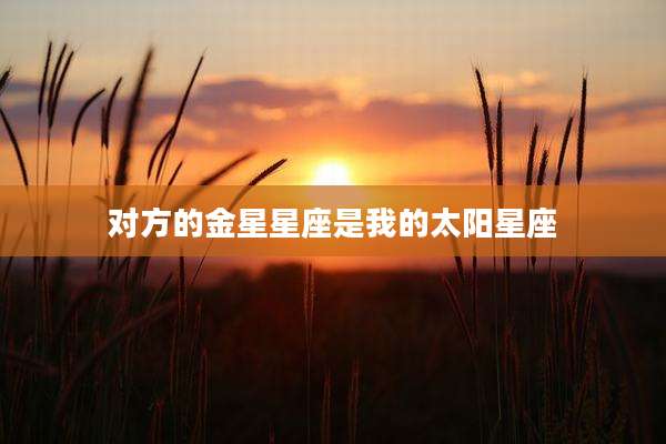 对方的金星星座是我的太阳星座