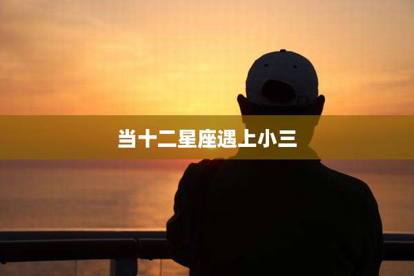 当十二星座遇上小三