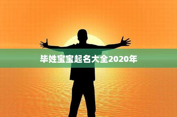 毕姓宝宝起名大全2020年
