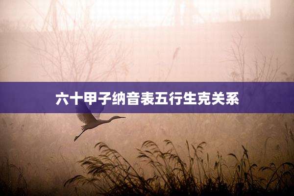 六十甲子纳音表五行生克关系