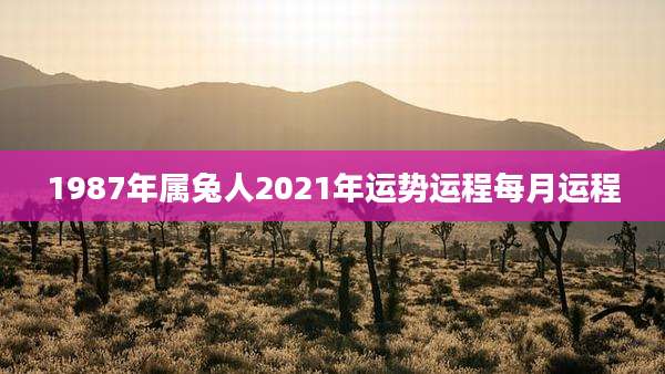 1987年属兔人2021年运势运程每月运程