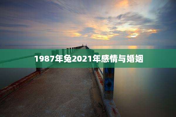 1987年兔2021年感情与婚姻
