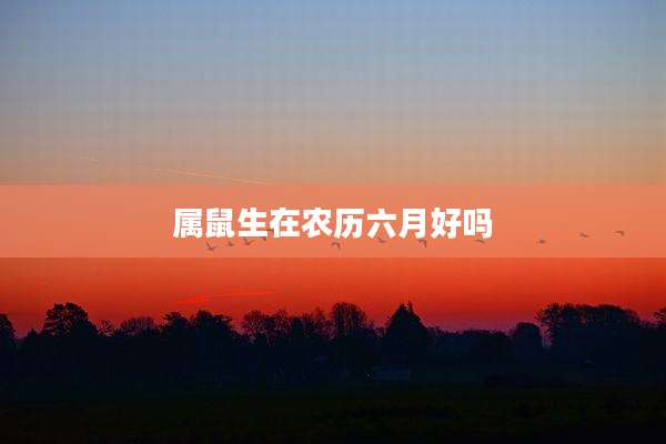 属鼠生在农历六月好吗