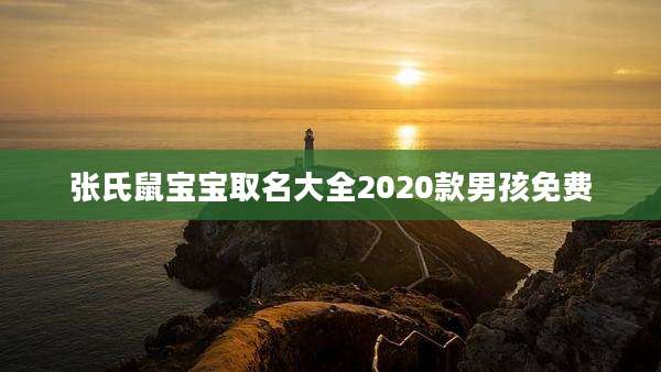 张氏鼠宝宝取名大全2020款男孩免费