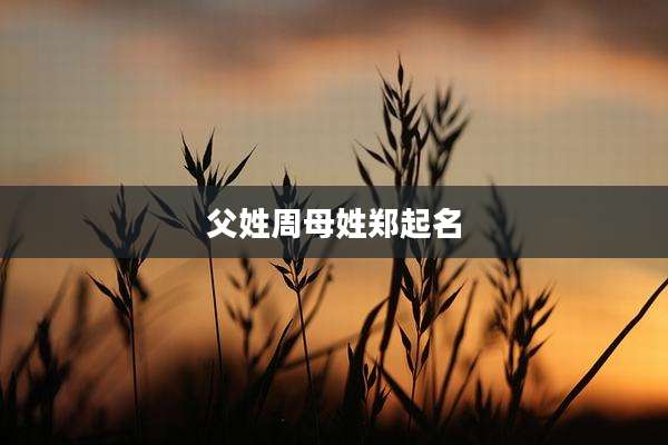 父姓周母姓郑起名