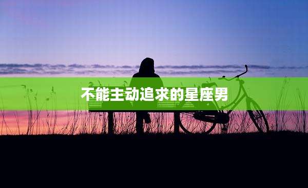 不能主动追求的星座男