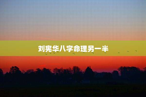 刘宪华八字命理另一半