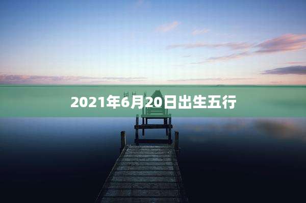 2021年6月20日出生五行