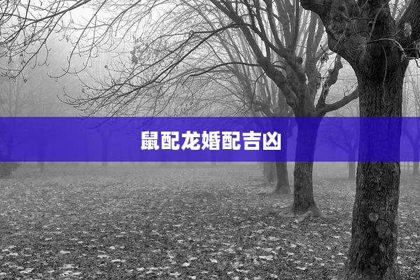 鼠配龙婚配吉凶