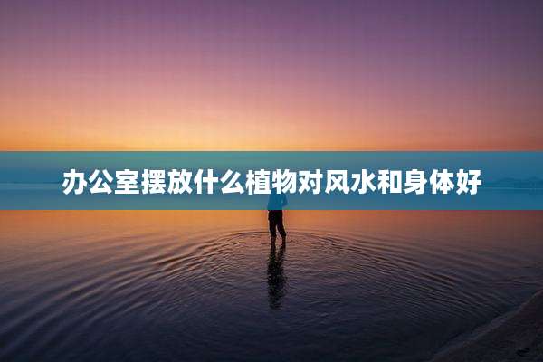 办公室摆放什么植物对风水和身体好