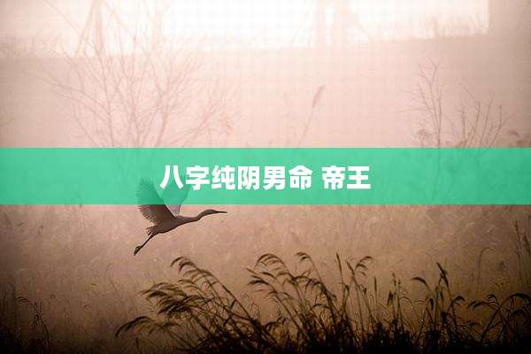 八字纯阴男命 帝王