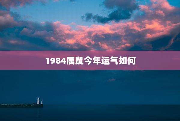1984属鼠今年运气如何