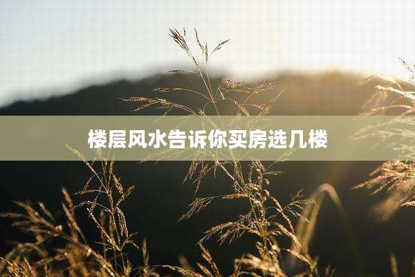 楼层风水告诉你买房选几楼