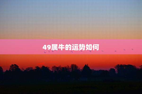 49属牛的运势如何