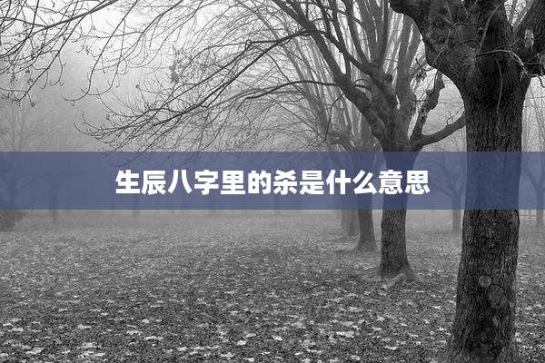 生辰八字里的杀是什么意思