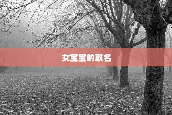 女宝宝的取名