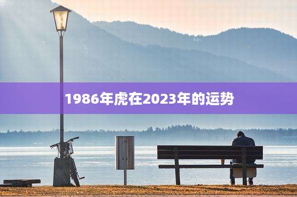 1986年虎在2023年的运势