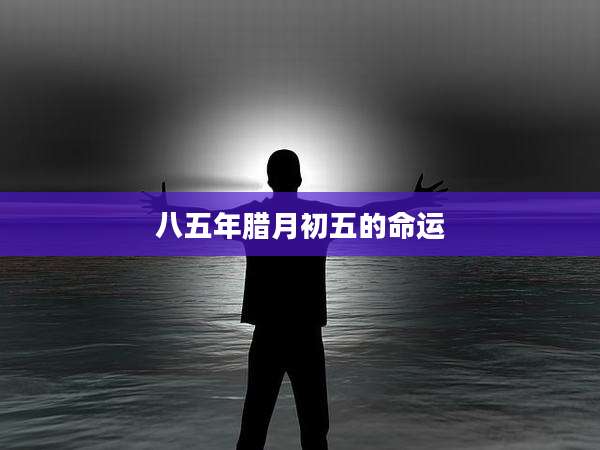 八五年腊月初五的命运