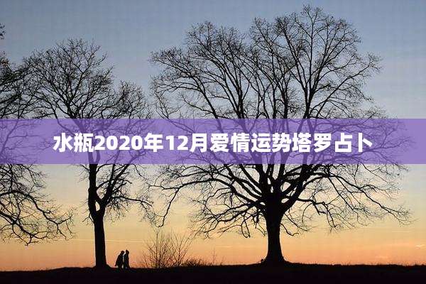 水瓶2020年12月爱情运势塔罗占卜