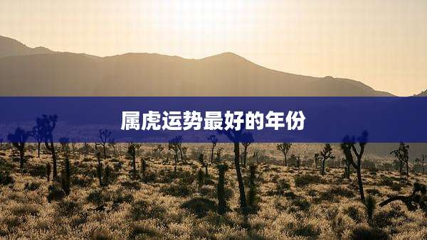 属虎运势最好的年份