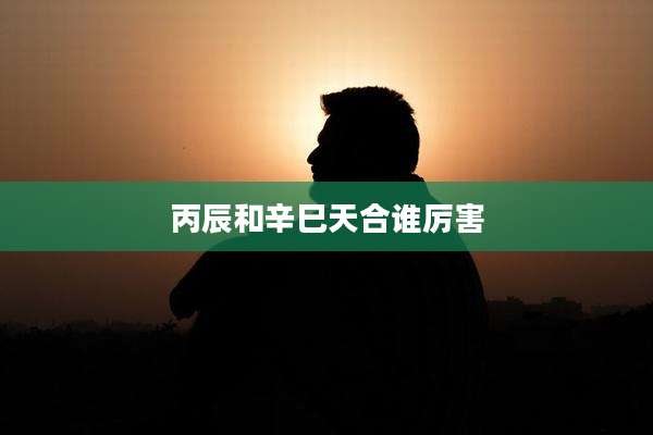丙辰和辛巳天合谁厉害