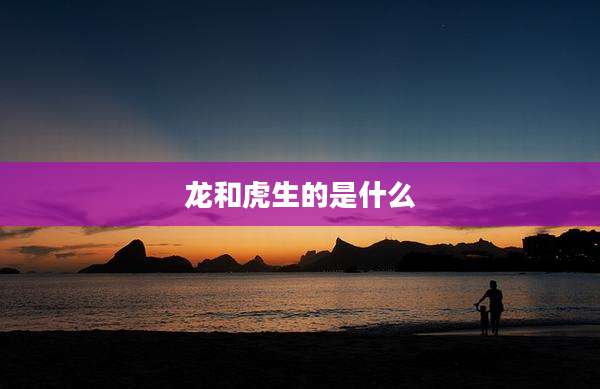 龙和虎生的是什么