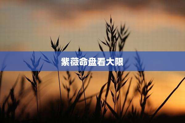 紫薇命盘看大限