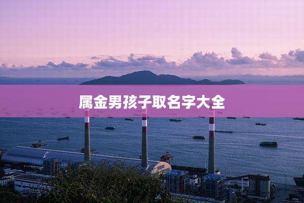 属金男孩子取名字大全