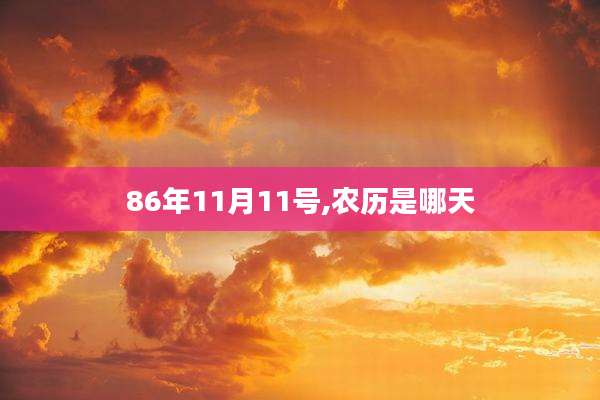 86年11月11号,农历是哪天