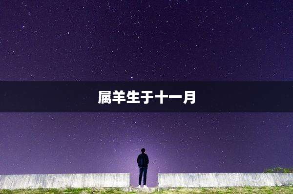 属羊生于十一月