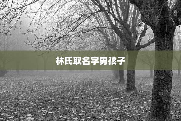 林氏取名字男孩子
