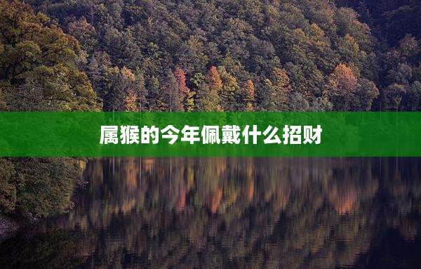属猴的今年佩戴什么招财