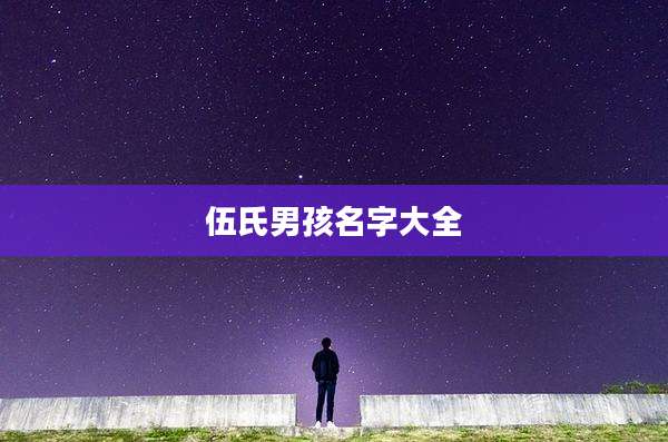 伍氏男孩名字大全