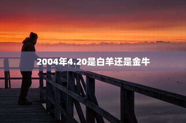 2004年4.20是白羊还是金牛