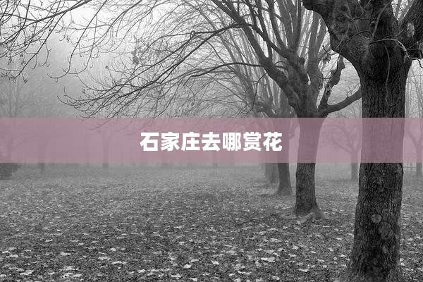 石家庄去哪赏花