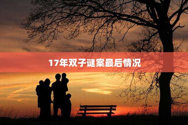 17年双子谜案最后情况